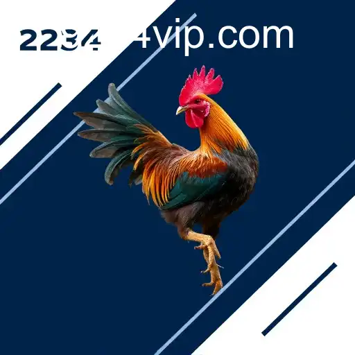 Exploring the World of Sabong Online: A Deep Dive Into 234vip